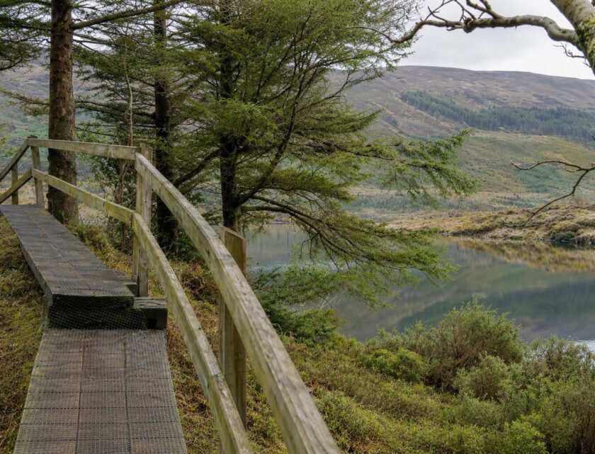 Glanteenassig Forest Park